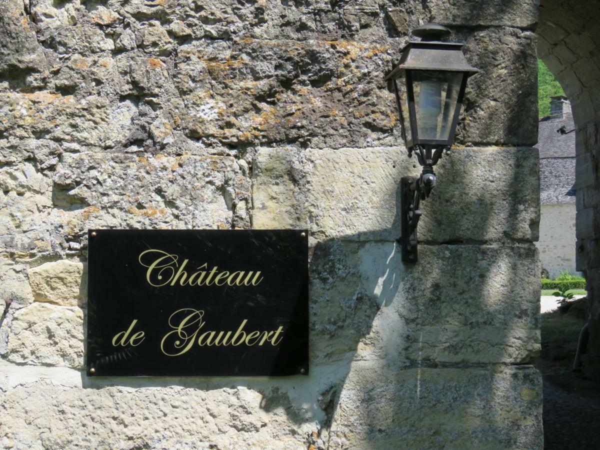 Chateau De Gaubert Terrasson-Lavilledieu Exterior photo